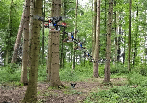 Empresa usa drones para projeto de reflorestamento