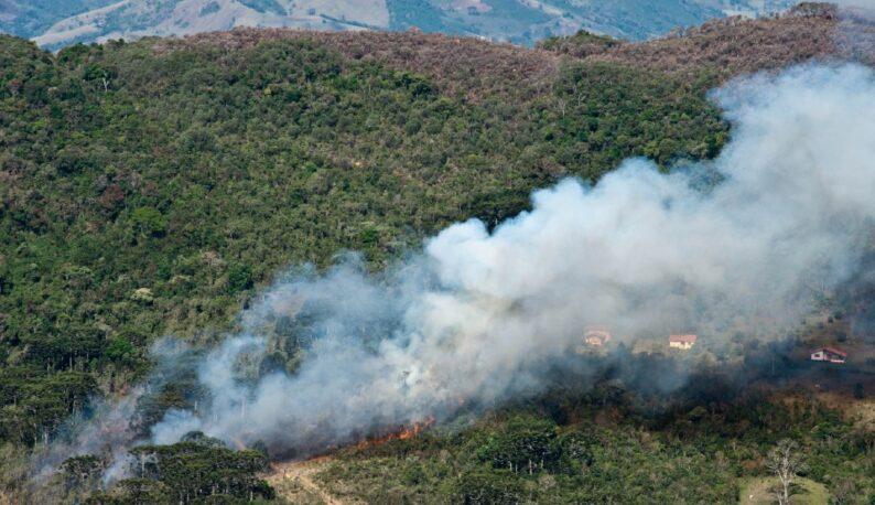 IA identifica focos com antecedência e evita incêndios