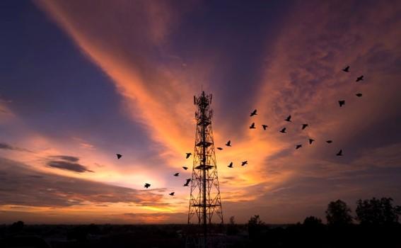 Pesquisa indica desafios e prioridades das telecoms