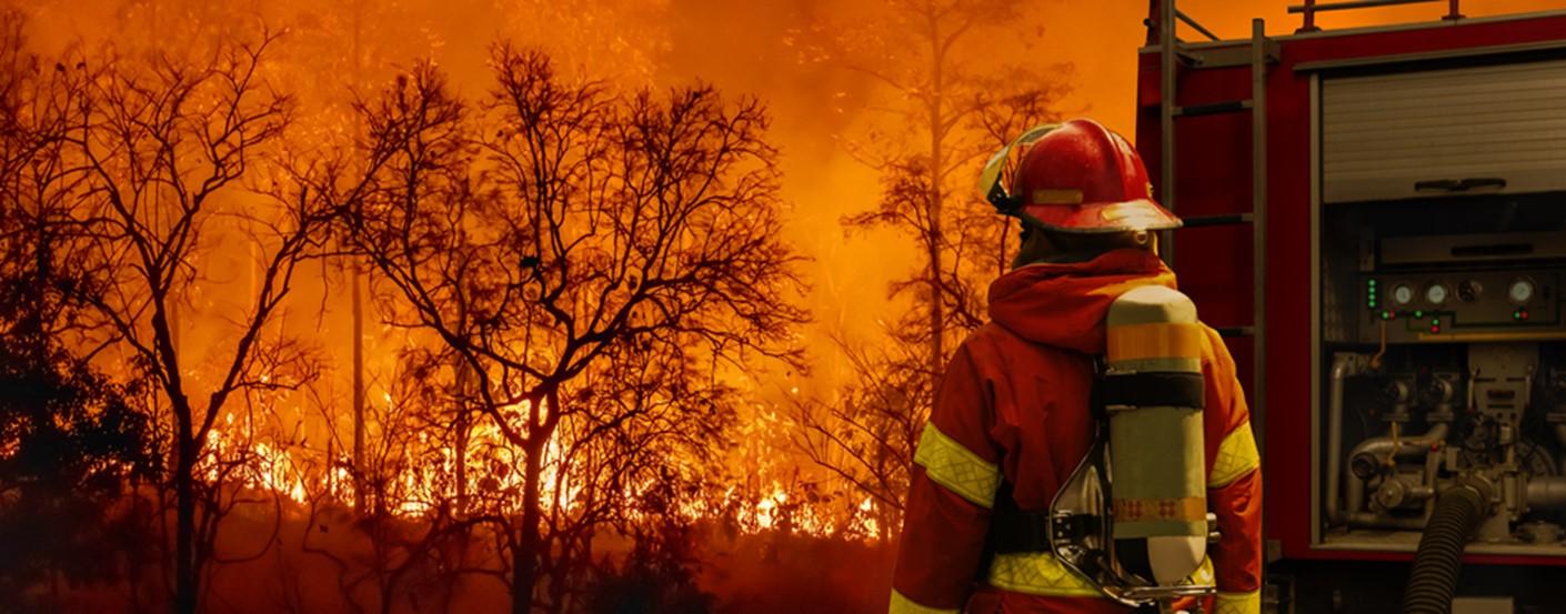 IoT por satélite detecta incêndios florestais