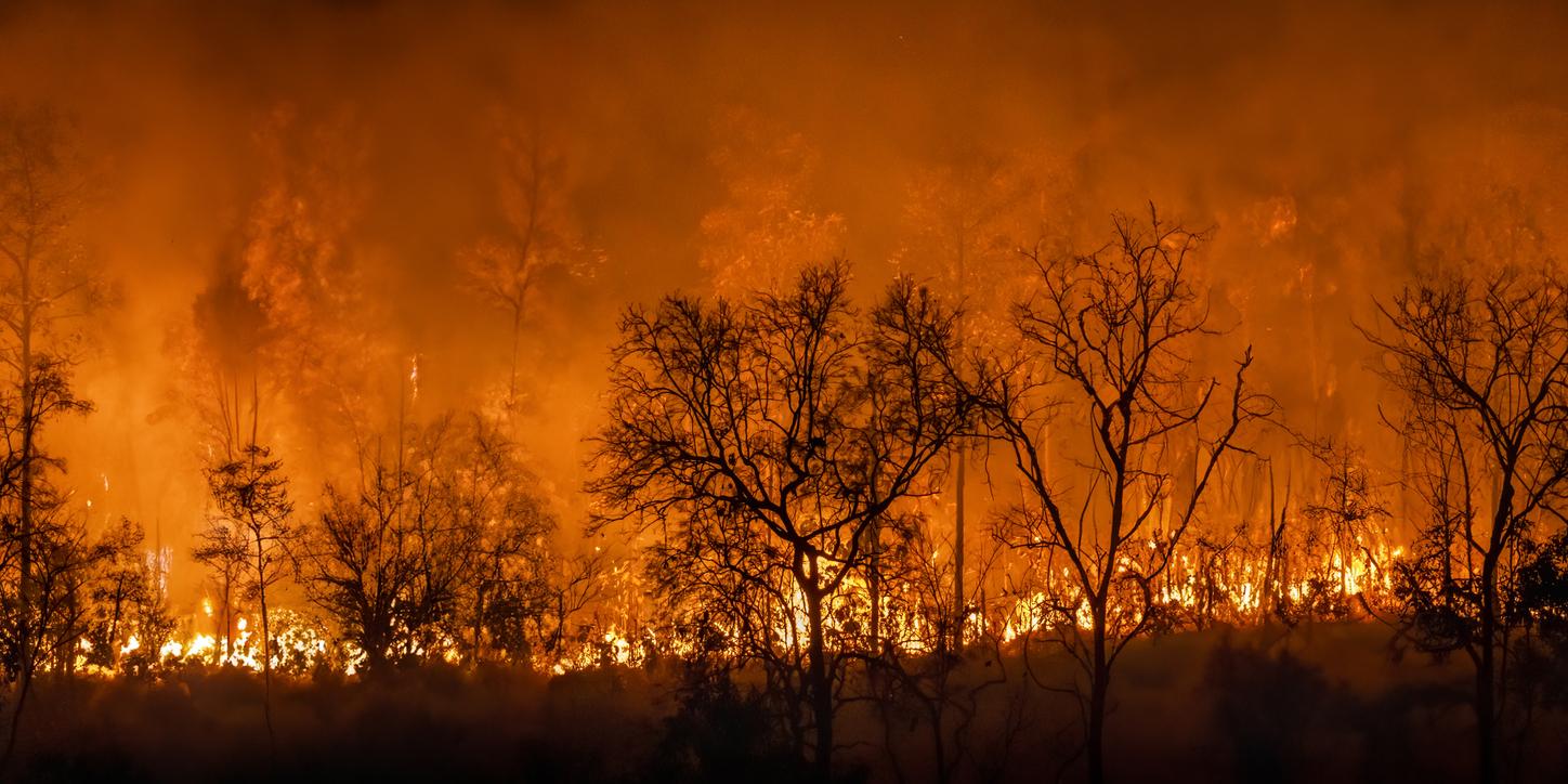 IA ajuda a descobrir as causas dos incêndios em Los Angeles