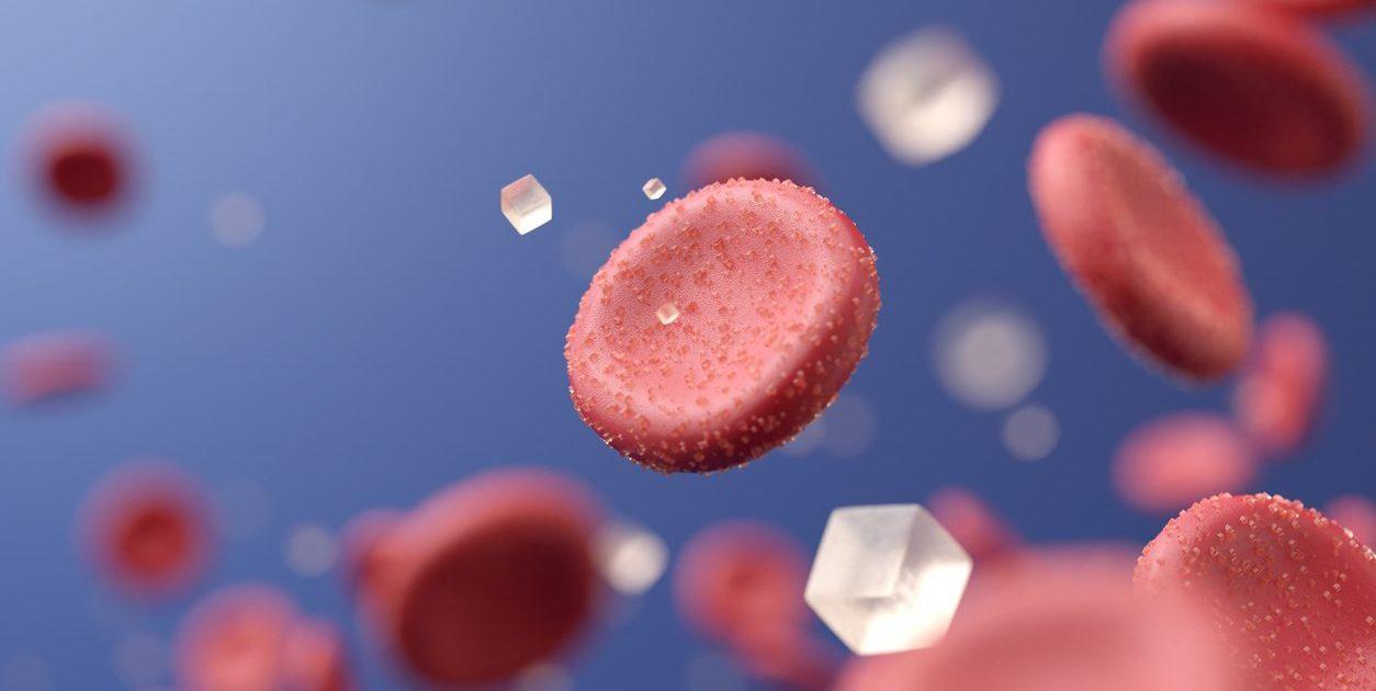 Roche e IBM usam IA para aperfeiçoar o controle do diabetes