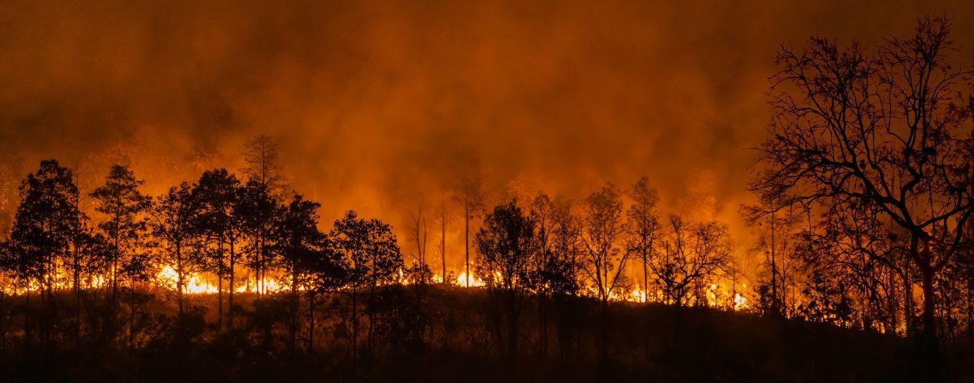 Startup ambiental recebe investimento de R$ 18,7 milhões